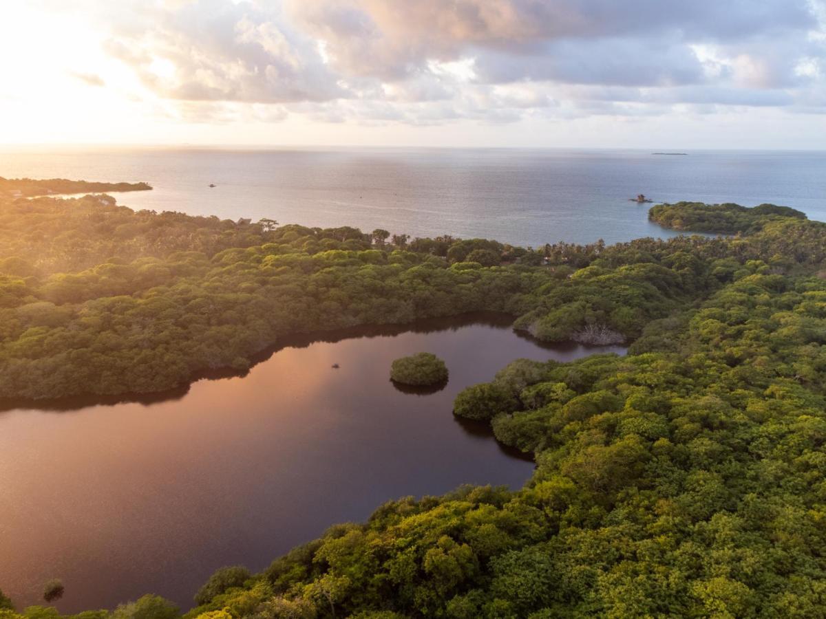 Rosario Ecohotel Isla Grande  Exteriér fotografie